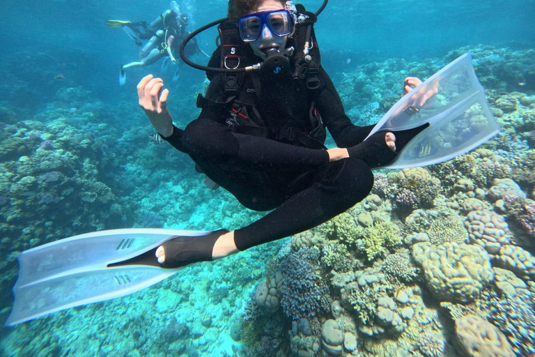 Intro Diving Débutant et découverte de la mer rouge sous l&#039;eau