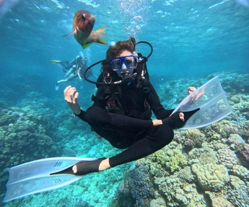 Intro Diving Beginner and Discover Red Sea Underwater