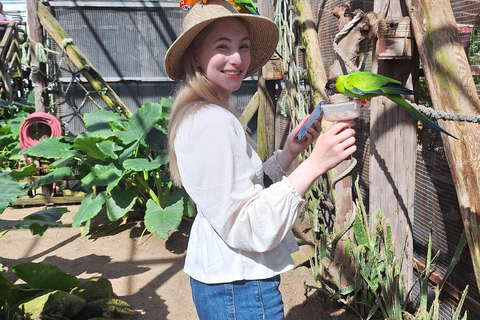 San Martín: Aviario de aves y paseo panorámico