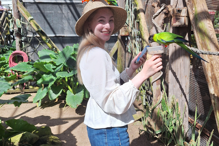 St Maarten: Fågelaviarium och naturskön körning