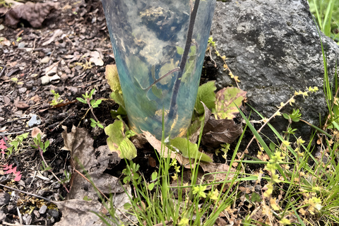Tacoma WA: Glassblowing Float-Making Class with Instructor