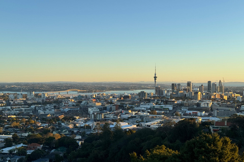 Auckland Sunrise Tour: Mount Eden Summit & Morning Views