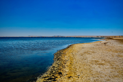 From Cairo: 4x4 Desert Safari, Waterfalls & Magic Lake Shared Tour: Wadi El Rayan, Magic Lake & Lake Qarun, Jeep