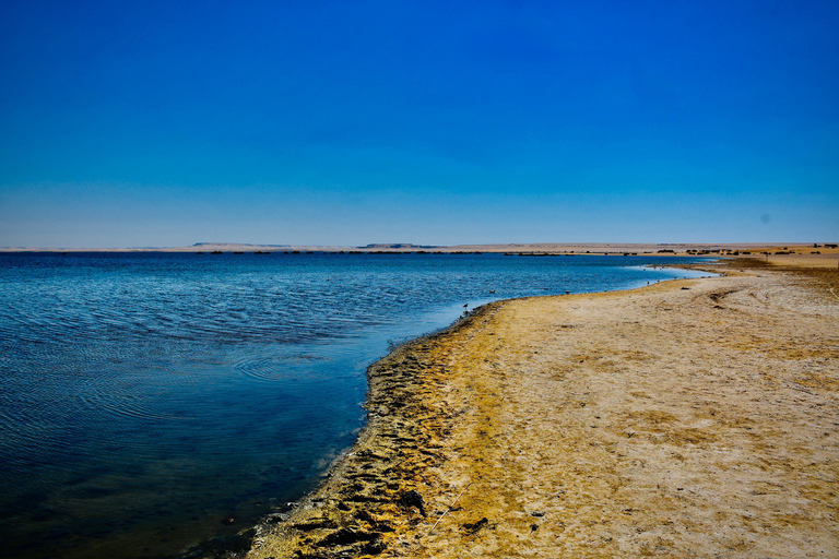 From Cairo: 4x4 Desert Safari, Waterfalls & Magic Lake Shared Tour: Wadi El Rayan, Magic Lake & Lake Qarun, Jeep