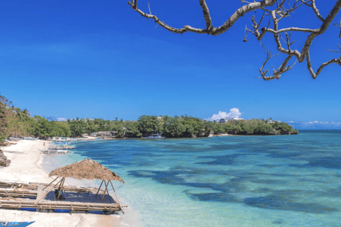 Boracay: raccolta di cibo e spiaggia nascostaAlla ricerca di cibo sull'isola di Boracay con esperienza sulla spiaggia nascosta
