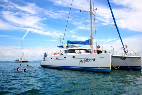 Brisbane: Excursão de meio dia à vela em Moreton Bay com Antipasto