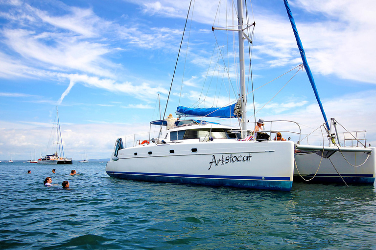 Brisbane: Tour di mezza giornata a vela della baia di Moreton con Antipasto