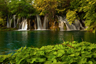 Plitvice Lakes Admission Ticket with Guided Walking Tour