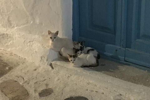 Visite privée : 4 heures de visite de l&#039;île de Mykonos - Comme un local