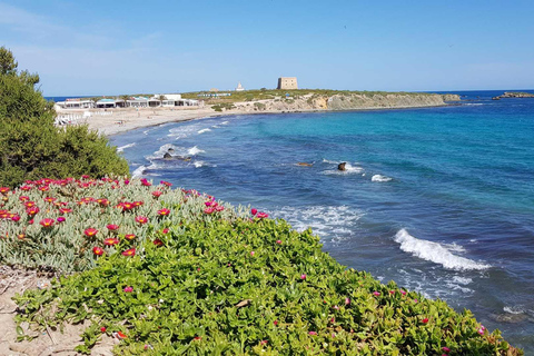 From Valencia: Tabarca Island, the Mediterranean paradise + ferry included From Valencia: Tabarca Island, Mediterranean Paradise + Ferry Included