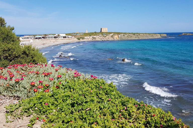 From Valencia: Tabarca Island, the Mediterranean paradise + ferry included From Valencia: Tabarca Island, Mediterranean Paradise + Ferry Included