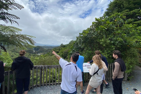 From Rotorua: Wai-O-Tapu, Waimangu and Te Puia Full-Day Tour