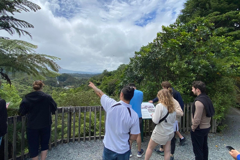 From Rotorua: Wai-O-Tapu, Waimangu and Te Puia Full-Day Tour
