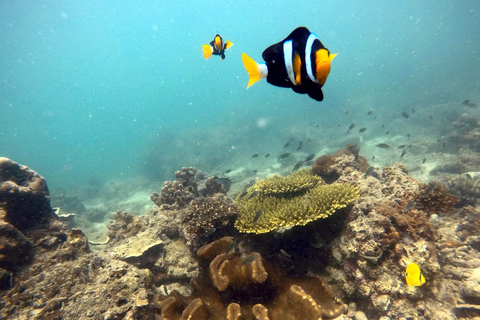 Krabi 4 Islands Snorkeling & Clownfish – Fees Incl.