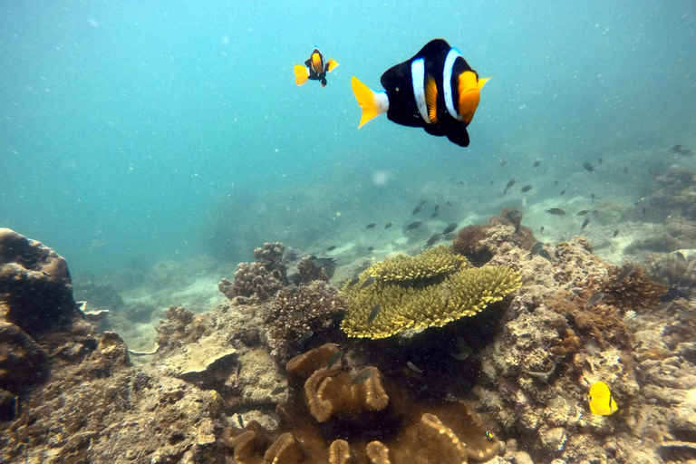 Krabi 4 Islands Snorkeling & Clownfish – Fees Incl.