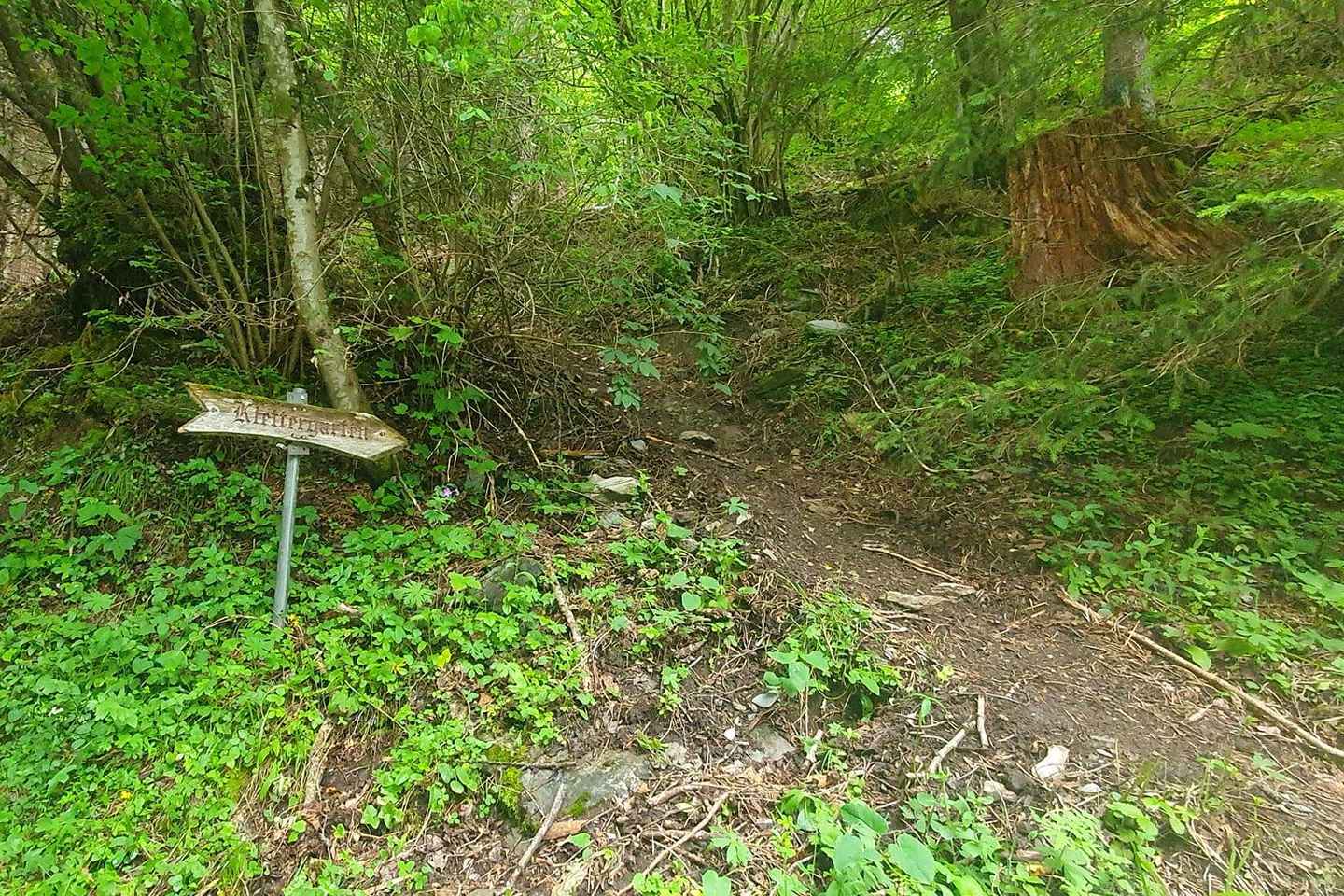 Lauterbrunnen: Private Walking Tour with an Irish Guide