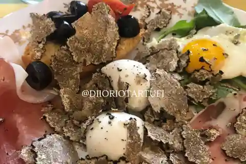 MOLISE TRUFFLE HUNTING WITH FOOD TASTING