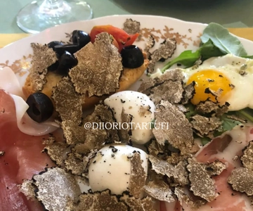MOLISE TRUFFLE HUNTING WITH FOOD TASTING