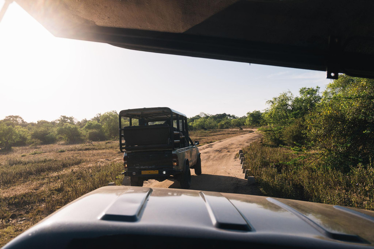 Sigiriya: Private Wilpattu National Park Safari Day Tour