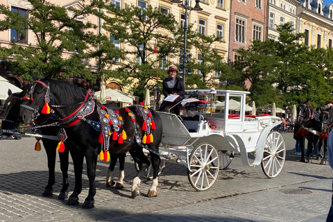 克拉科夫老城奇迹与圣玛丽教堂的魔力