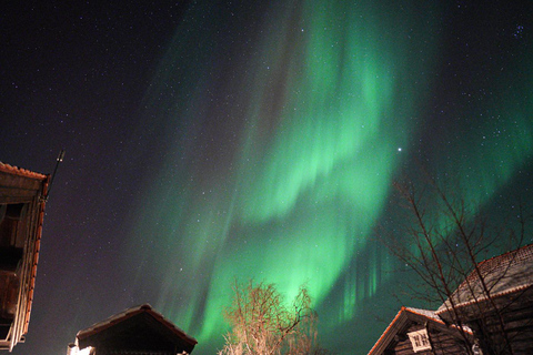 Tromsø: Tour dell&#039;aurora boreale con guida locale e foto