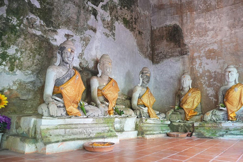 Temple de Doi Suthep, ferme d&#039;orchidées et cascade de Sticky avec déjeuner