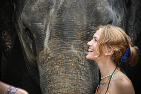 Phuket: Visita de medio día al Santuario de la Selva de Elefantes