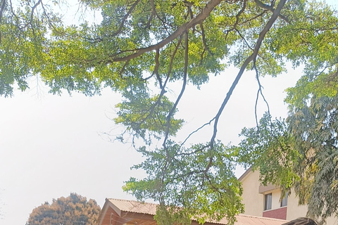 Arusha: Sinoni Community Walking Tour with Street Food