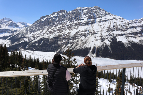 Explore Banff National Park - Exclusive Small Group Tour