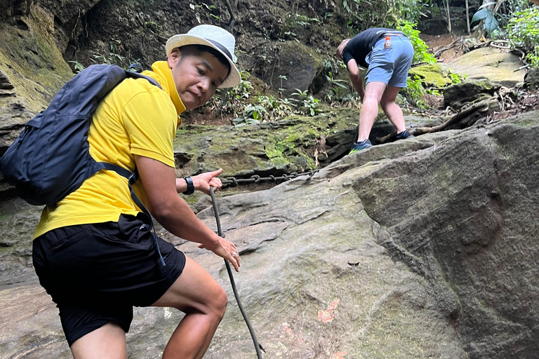 ريو دي جانيرو: جولة في غابة تيجوكا وبيدرا بونيتا بالسيارة