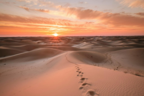 Doha: Gouden horizonten: Zonsopgangen en zonsondergangen in de woestijnPrivétour door de woestijn