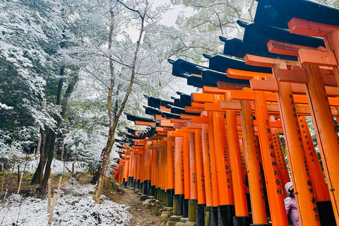Kyoto: Early-Access Fushimi Inari Private Walking Tour