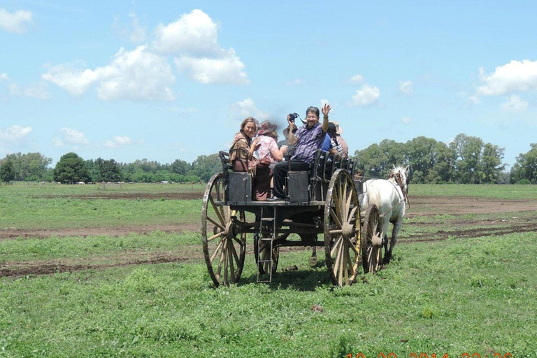 Buenos Aires: Santa Susana Ranch Day Tour, BBQ & Shows