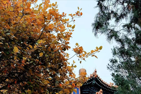 Jingshan Park Entry Ticket with Fast-Track Entry