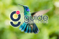 Mindo Cloud Forest Day Tour - Housity