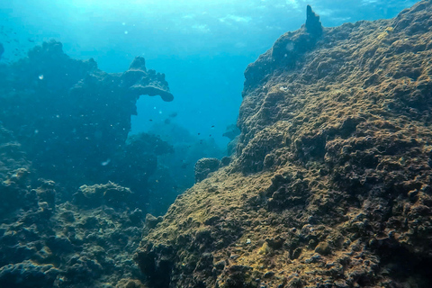 Scuba diving from stunning coral reef in the heart of Phuket