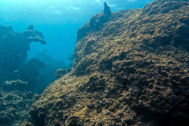 Scuba diving from stunning coral reef in the heart of Phuket