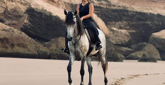From Agadir or Taghazout: Horse Riding & Photoshoot in Tamri