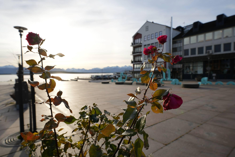 Molde: Atlantische Oceaanweg, Kvernes Staafkerk &amp; meer