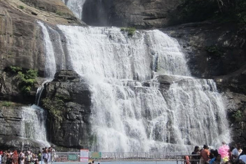 Kerala: Kochi, Munnar, Alleppey & Trivandrum Multi-Day Tour From Kochi: 7 Days Private Tour (All Inclusive)