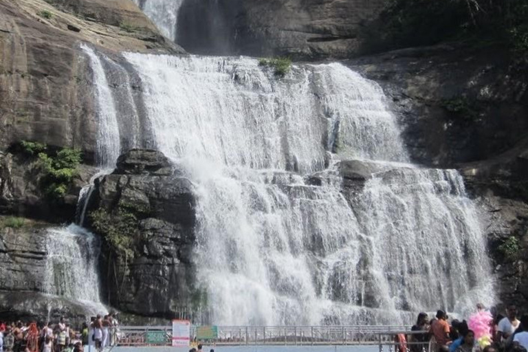Kerala: Kochi, Munnar, Alleppey & Trivandrum Multi-Day Tour From Kochi: 7 Days Private Tour (All Inclusive)