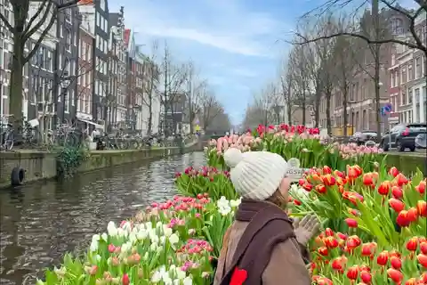 Amsterdam: Premium Tulip Boat Canal Tour
