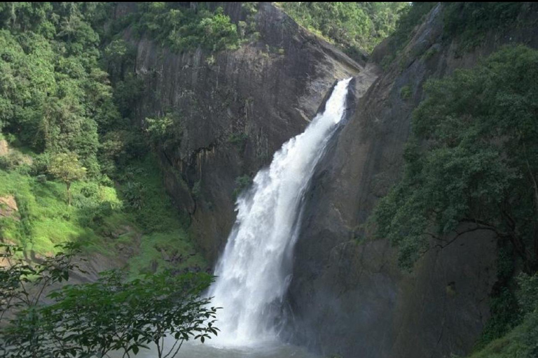 Scenic Highland Journey: Private Transfer from Kandy to Ella