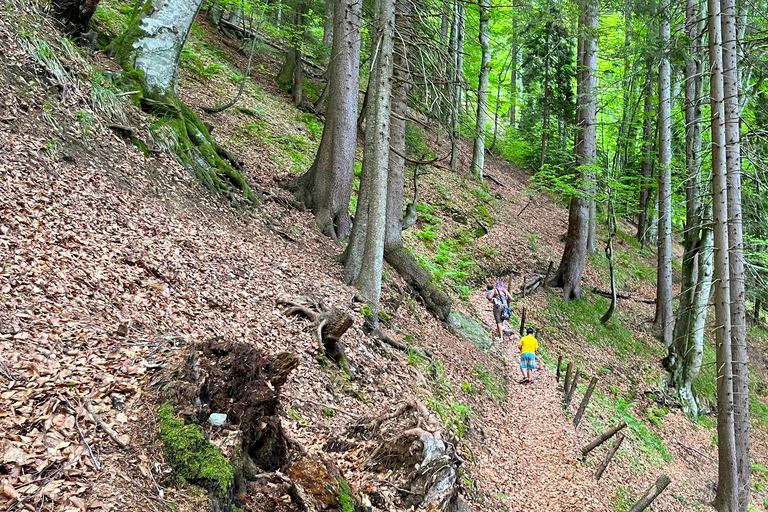 Watervallen Tour vanuit Sarajevo: Wandeling en Bosnische Lunch