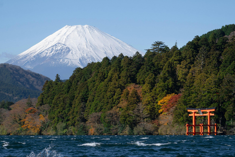 Nagoya: Private Mount Fuji day Trip with Local Guide