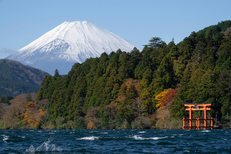 Nagoya: Private Mount Fuji day Trip with Local Guide