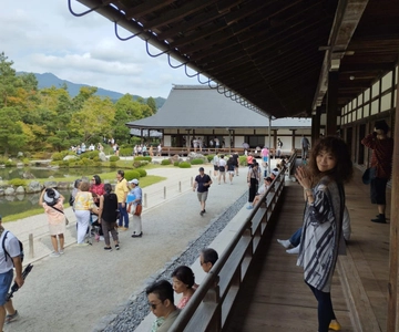 Kyoto: Arashiyama Bamboo Forest and Nijo Castle Private Tour