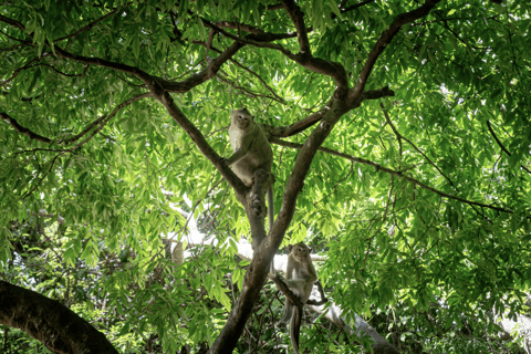 Phnom Penh: Old City Oudong, and Koh Chen Village Tour Tuk Tuk Option - No Guide