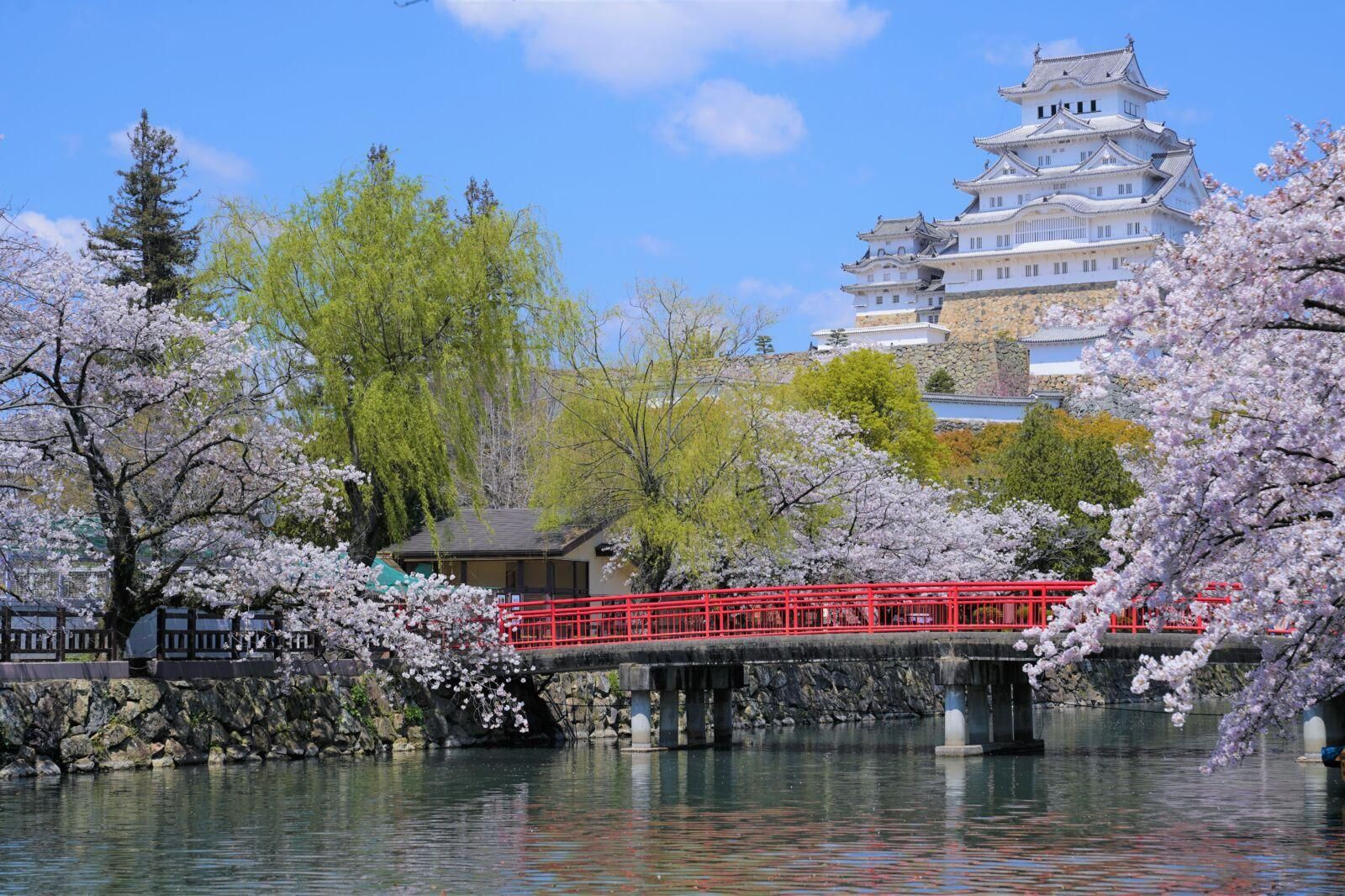 Rundgang in Himeji : Burg, Garten und Indigofärberei