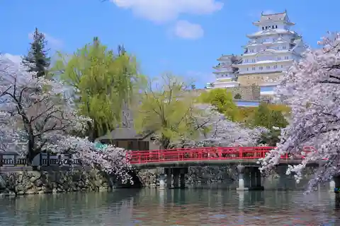 Tour a piedi a Himeji: Castello, giardino e tintura di indaco